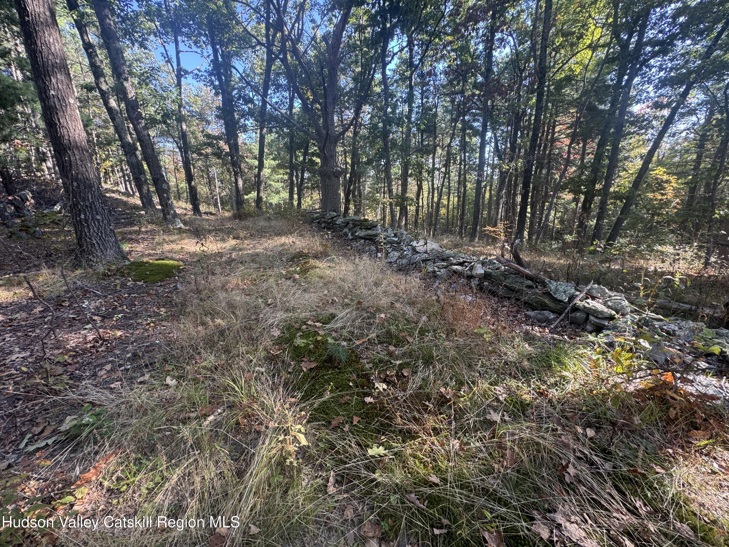 Lot 3 Snydertown Road Craryville, NY 12521 - Photo 5 of 10 IMG_8791