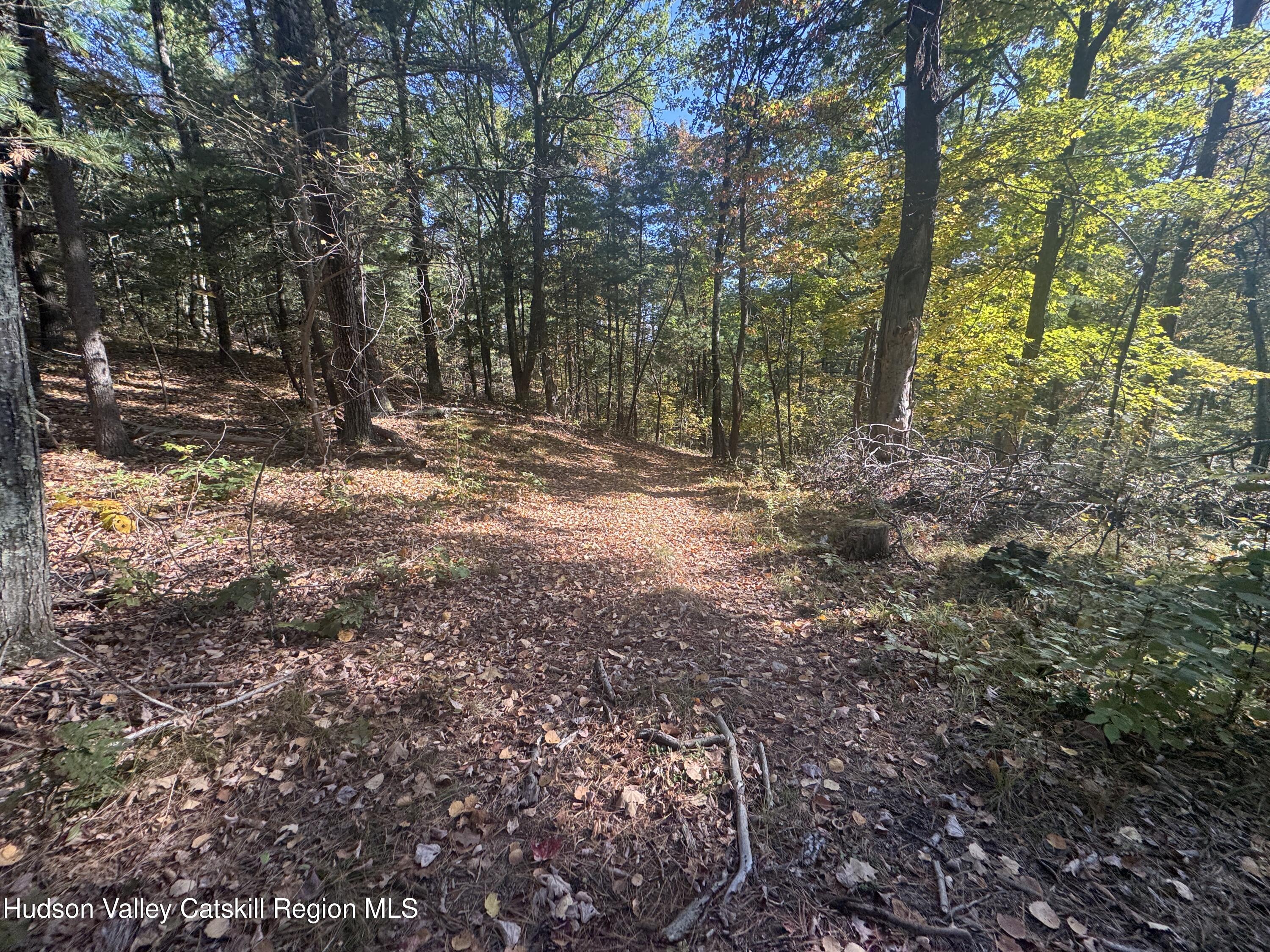 Lot 3 Snydertown Road Craryville, NY 12521 - Photo 6 of 10 IMG_8792