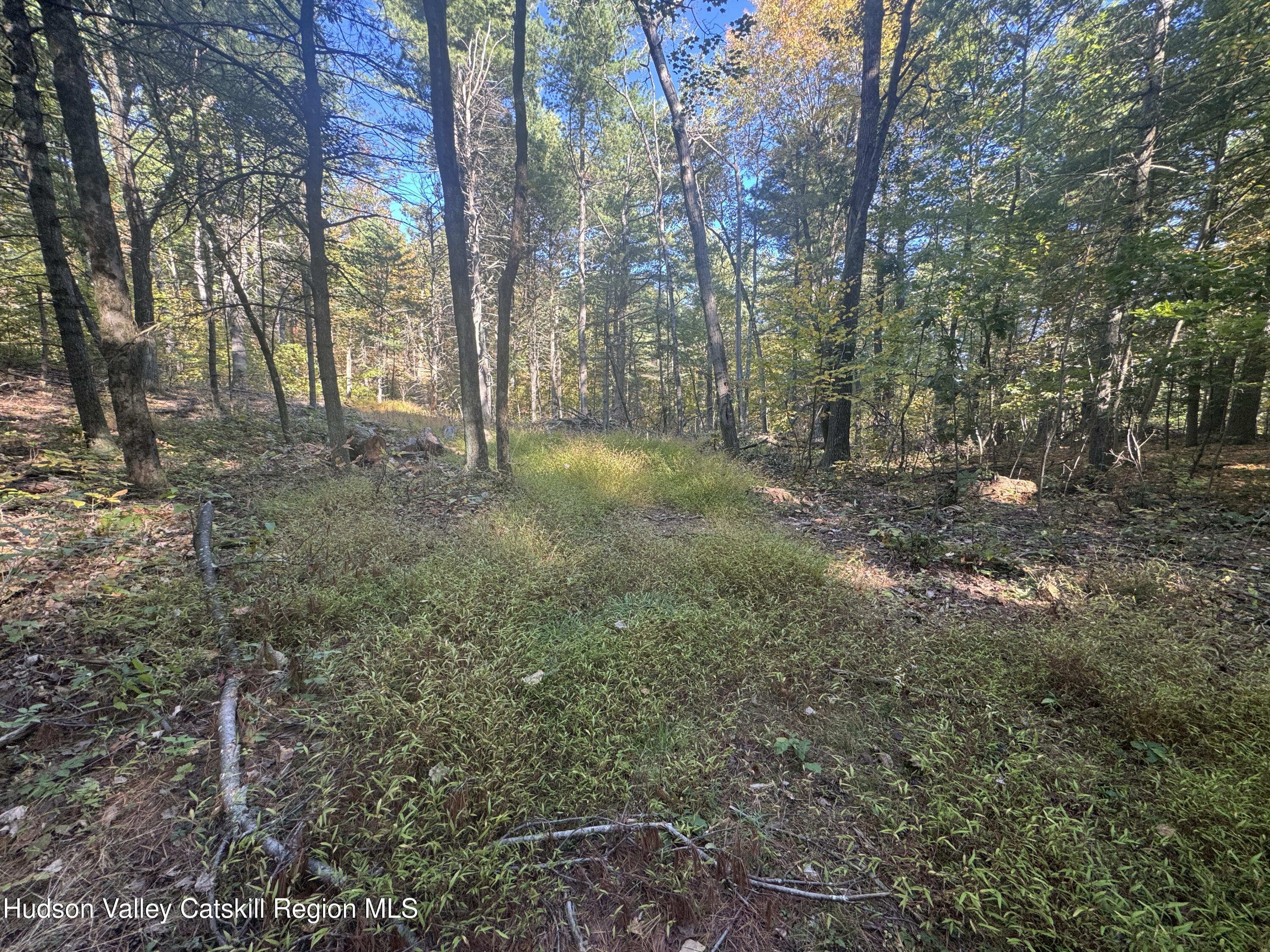 Lot 3 Snydertown Road Craryville, NY 12521 - Photo 7 of 10 IMG_8787