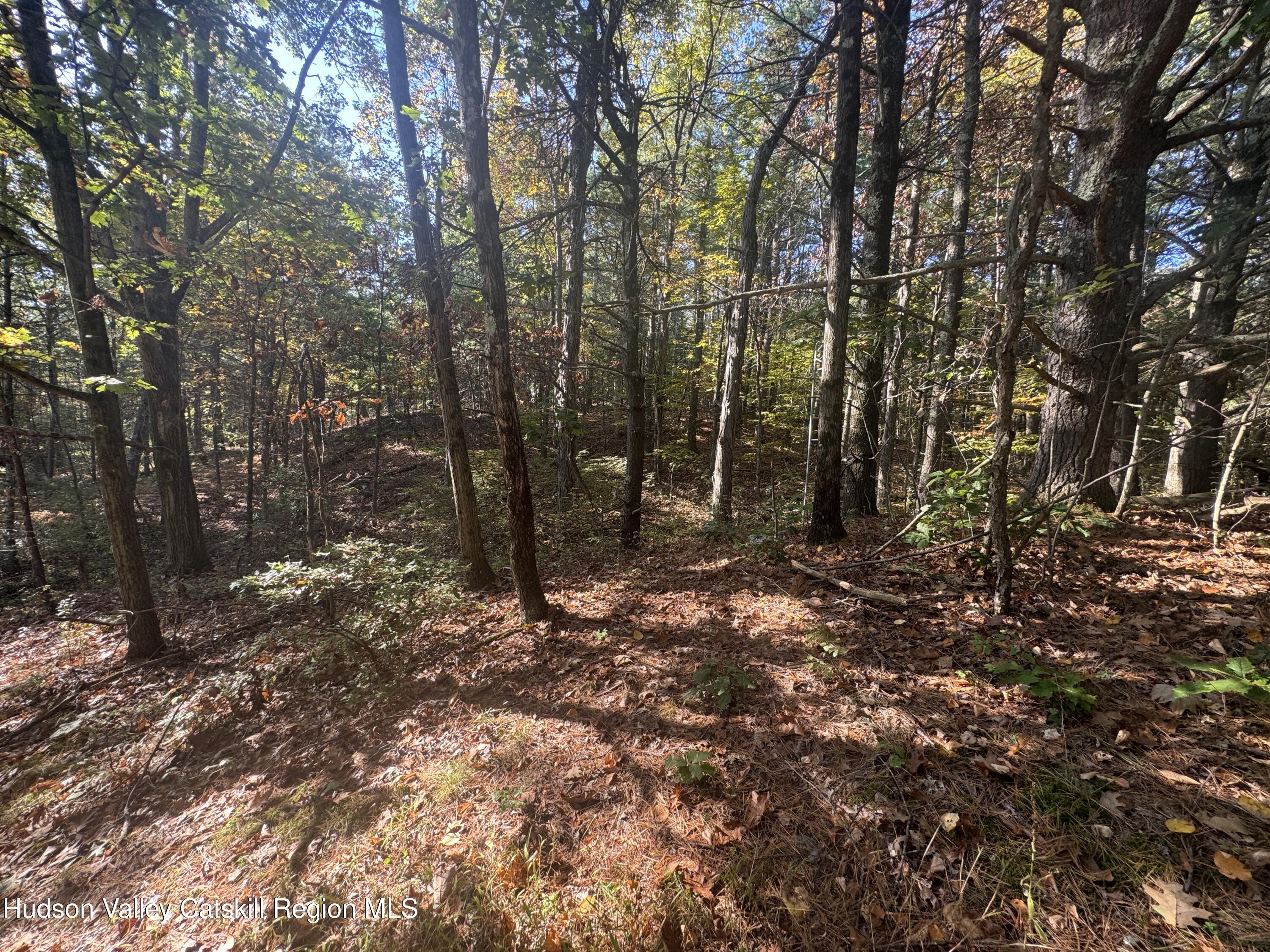 Lot 3 Snydertown Road Craryville, NY 12521 - Photo 8 of 10 IMG_8783