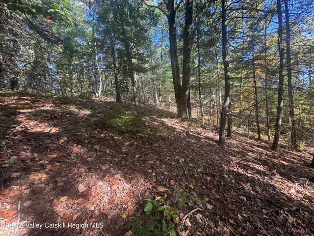 $132,000 | Lot 3 Snydertown Road, Craryville, NY 12521