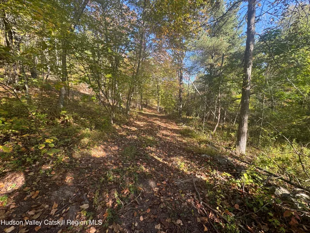 $132,000 | Lot 3 Snydertown Road, Craryville, NY 12521