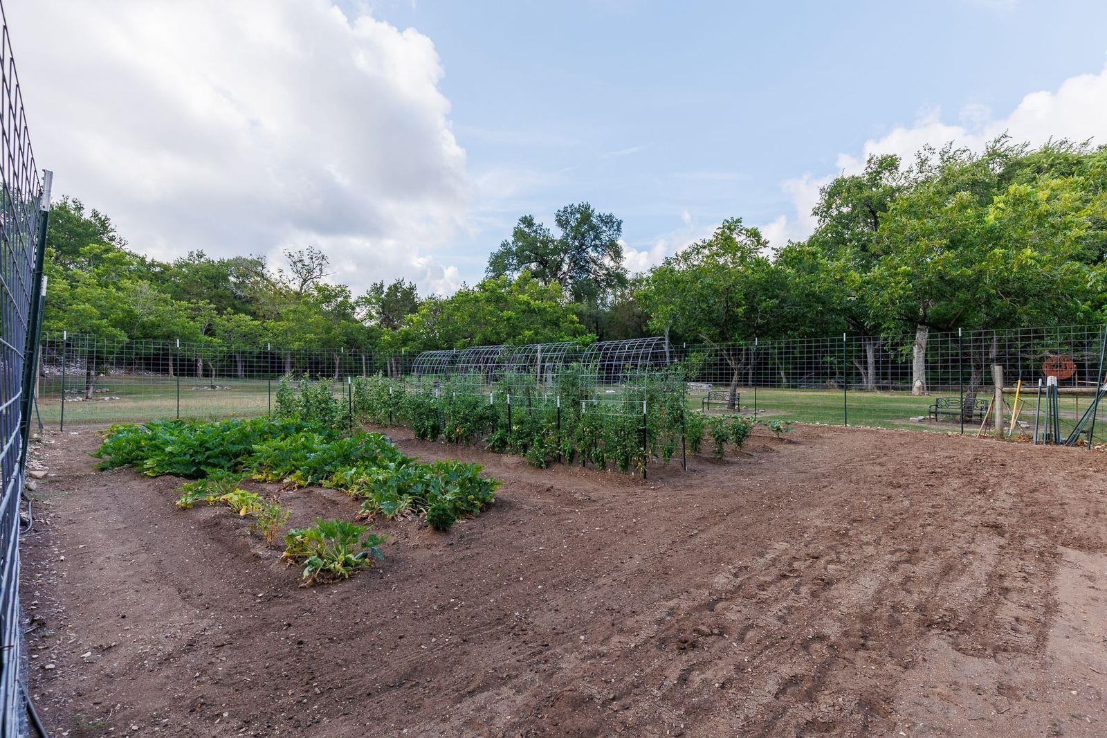 23644 Nameless Road Leander, TX 78641 - Photo 19 of 29