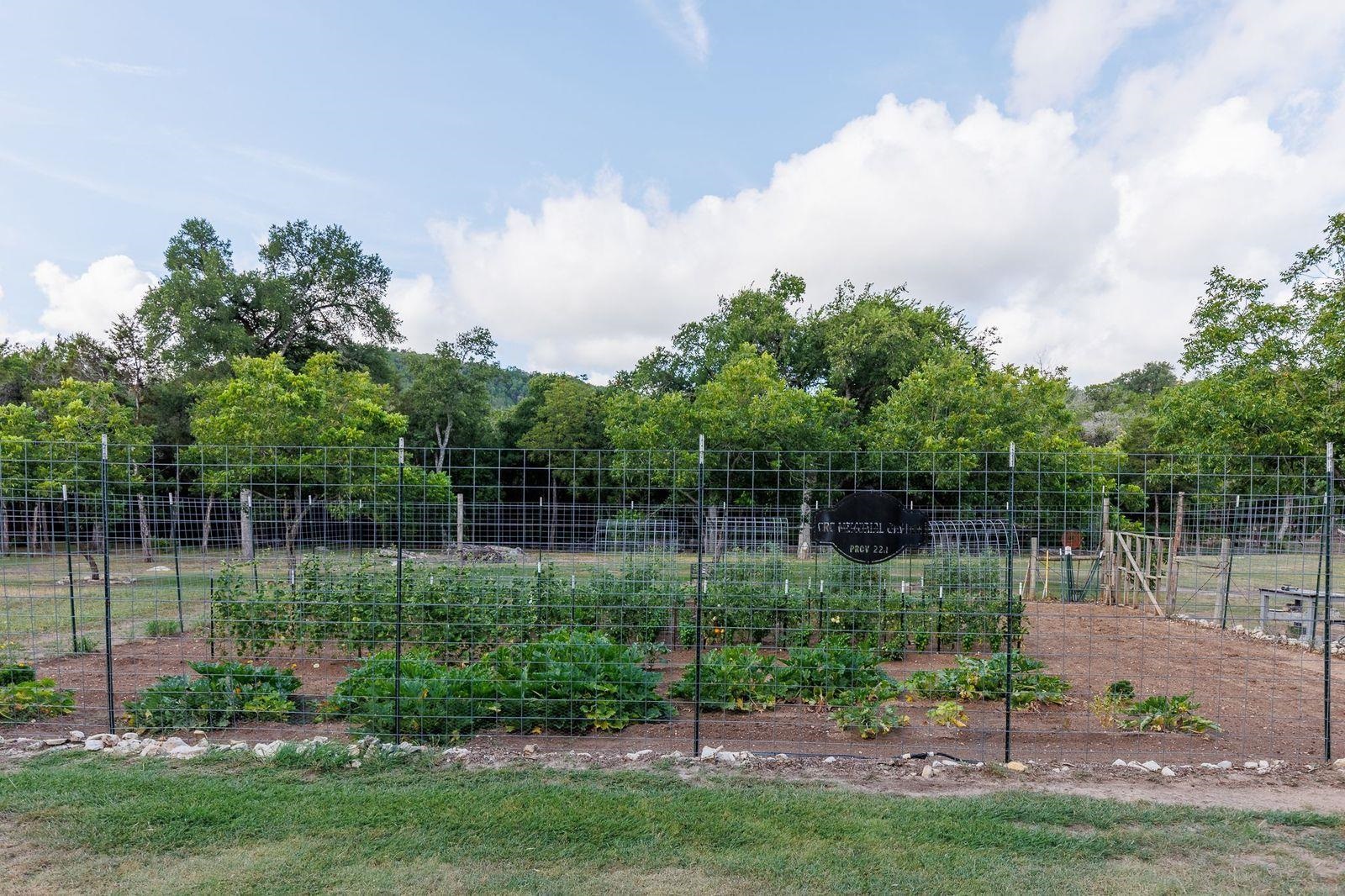 23644 Nameless Road Leander, TX 78641 - Photo 20 of 29 a view of a park