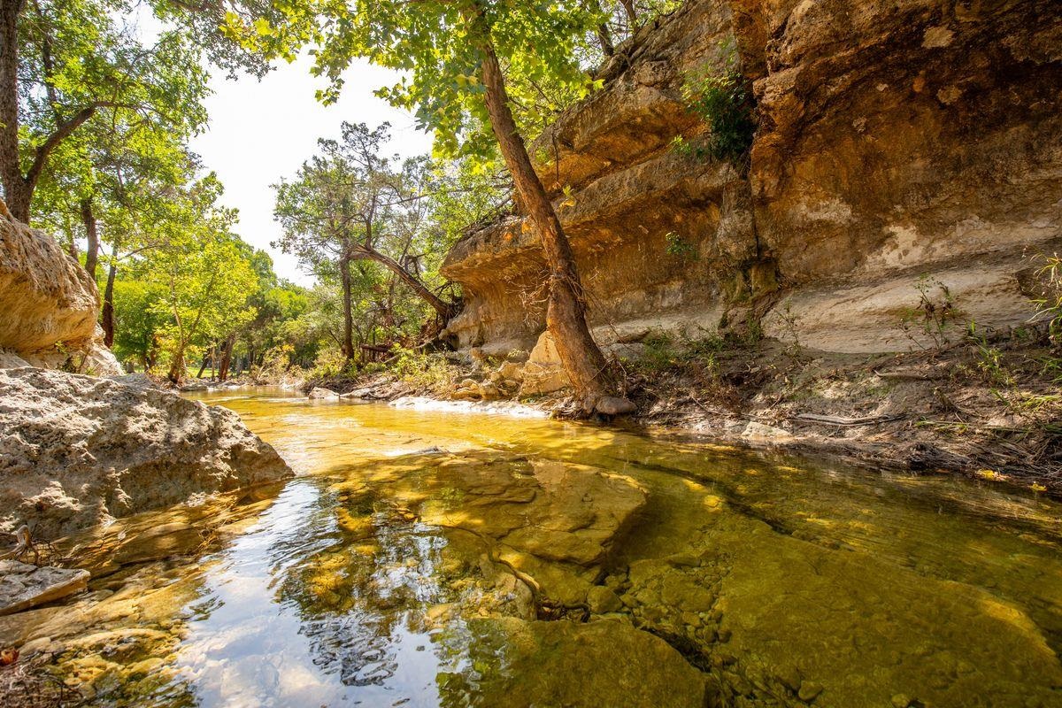 23644 Nameless Road Leander, TX 78641 - Photo 25 of 29 a view of yard covered with snow