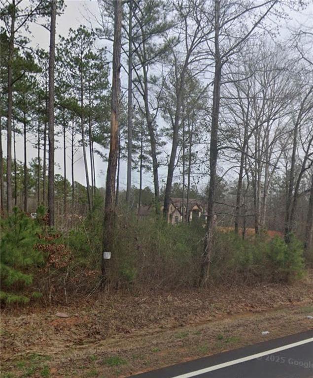 1240 North Walker's Mill Road Griffin, GA 30223 - Photo 2 of 2 a view of a forest filled with trees
