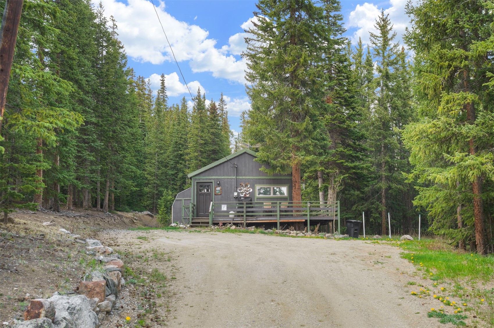 219 Ansley Road Alma, CO 80420 - Photo 2 of 26