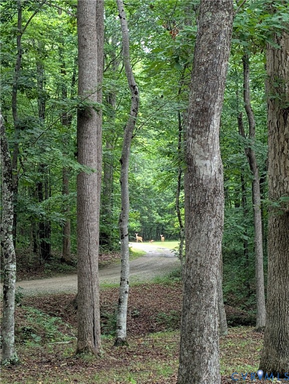 4308 A Three Bridge Road Powhatan, VA 23139 - Photo 59 of 64 If these are the only neighbors, you want to see o