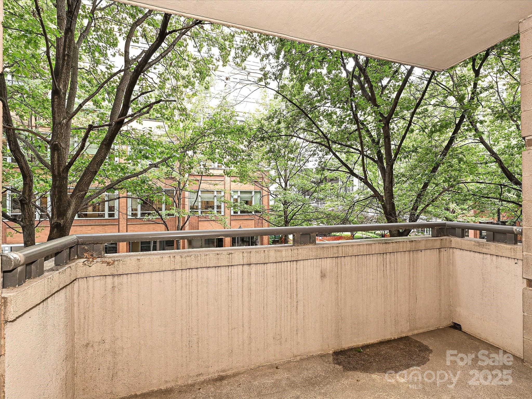 718 West Trade Street Charlotte, NC 28202 - Photo 20 of 24 a view of a house with large trees