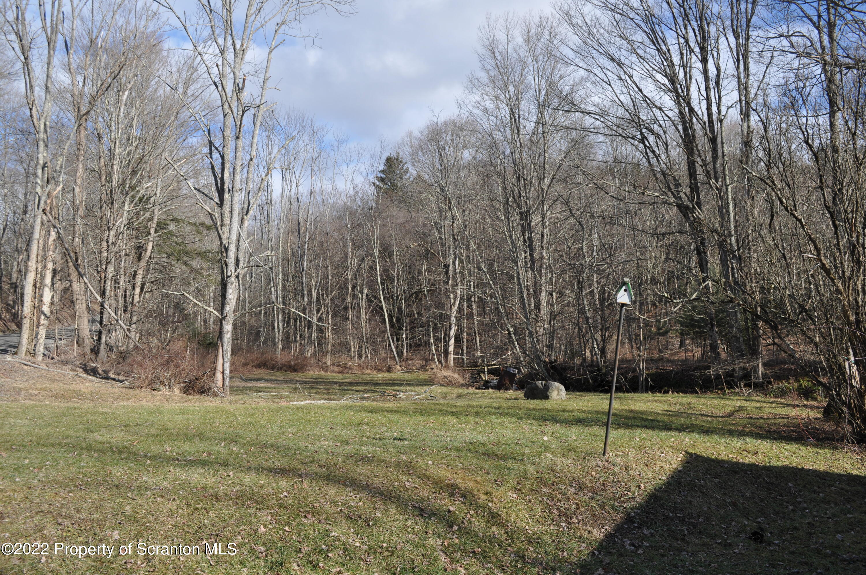 50 Hamlin Road Montrose, PA 18801 - Photo 29 of 34 Side Yard