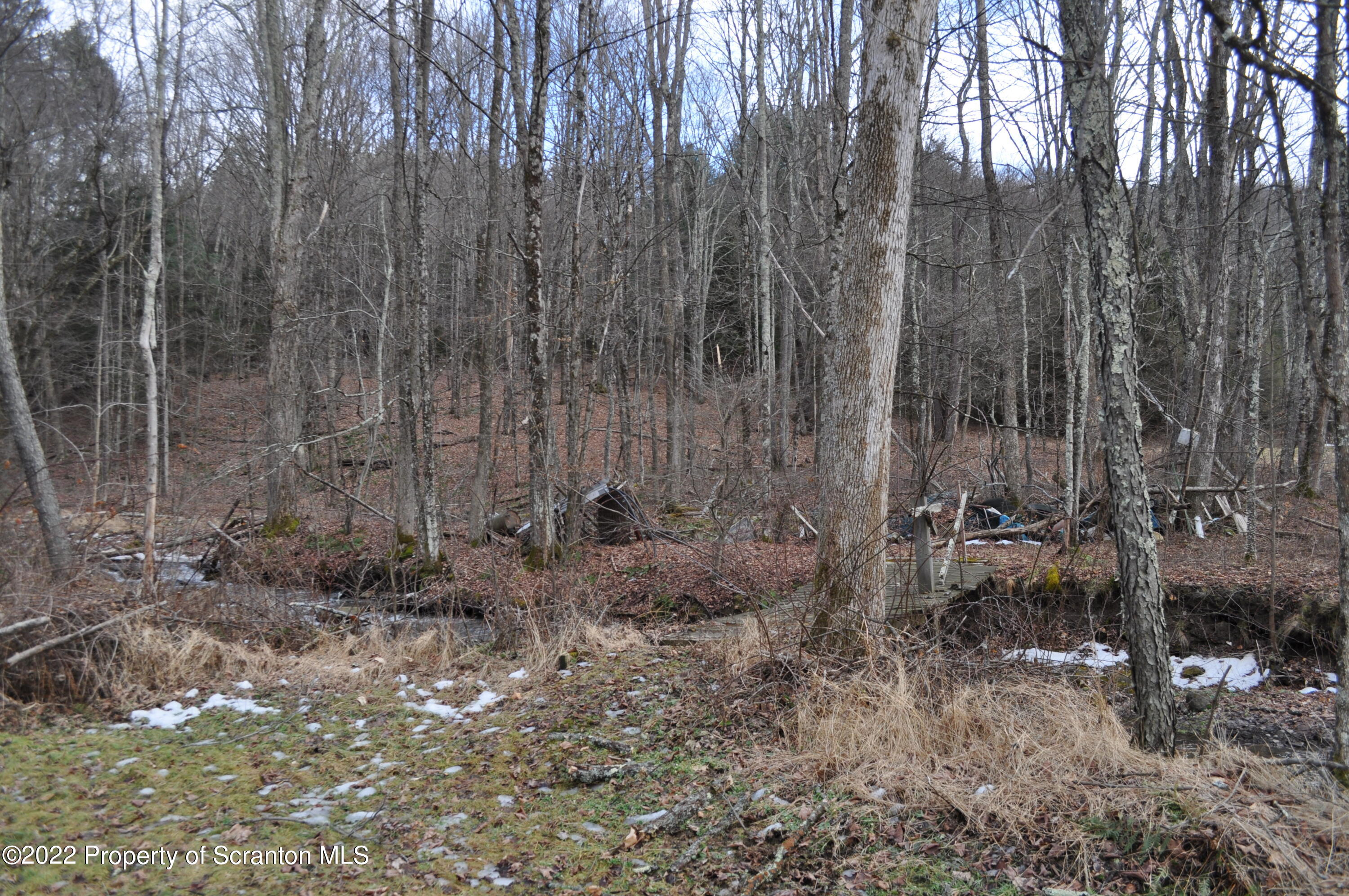 50 Hamlin Road Montrose, PA 18801 - Photo 31 of 34 Little Bridge