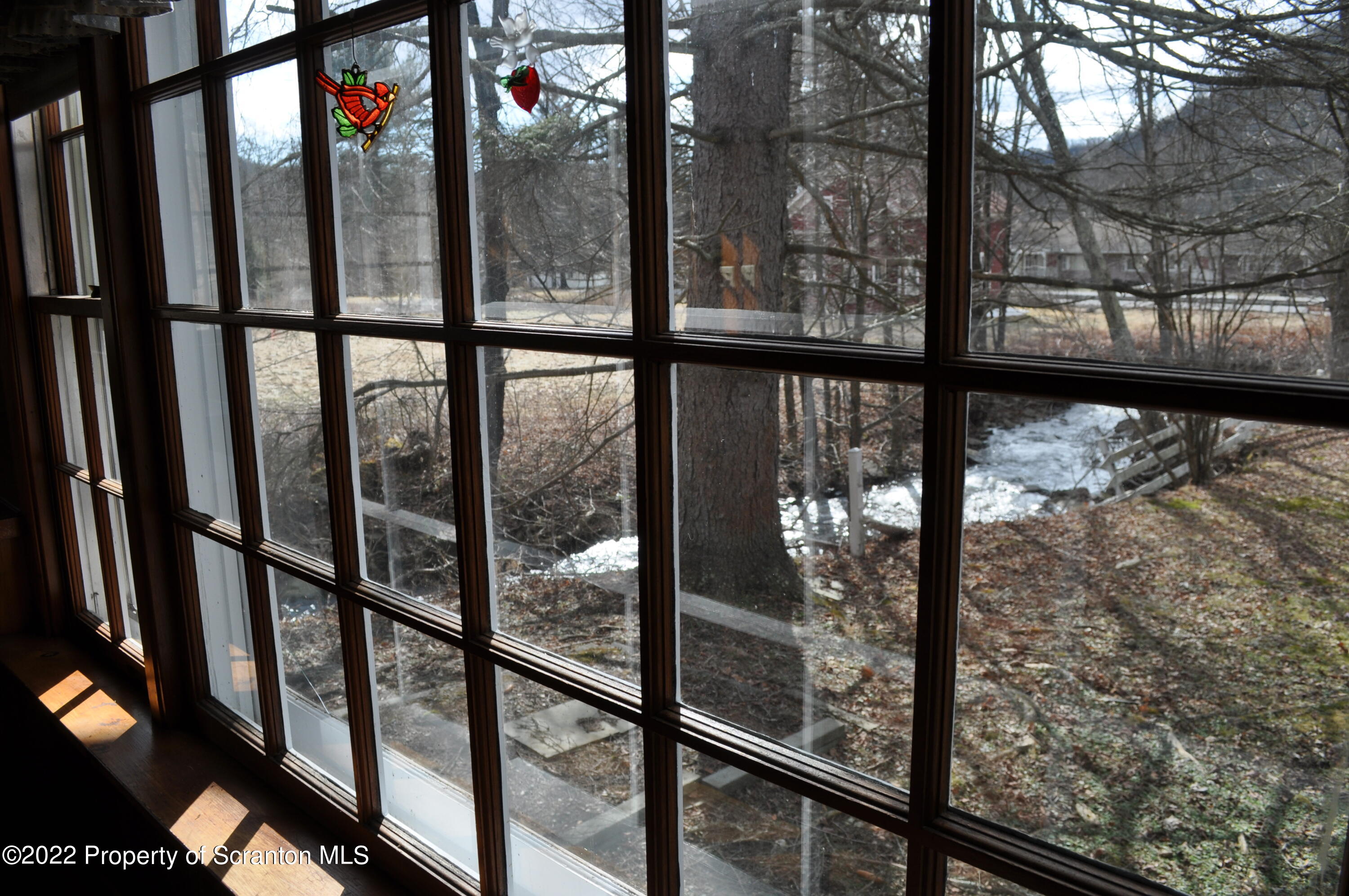 View of Stream from Dining Room