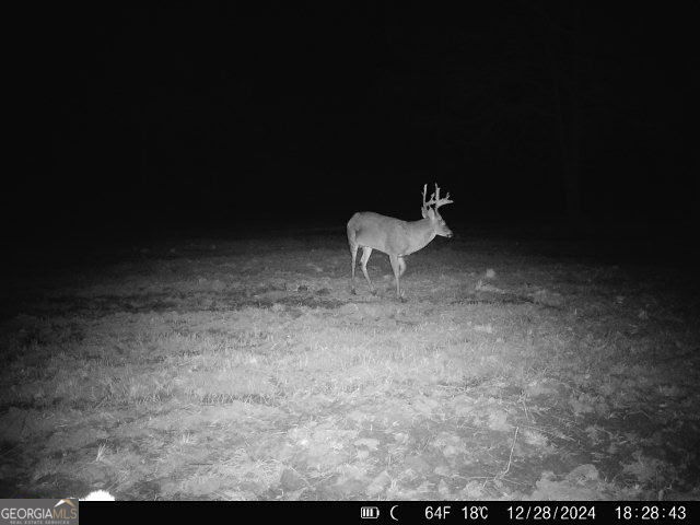 0 Sumner Road Sumner, GA 31789 - Photo 11 of 17