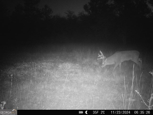 0 Sumner Road Sumner, GA 31789 - Photo 12 of 17