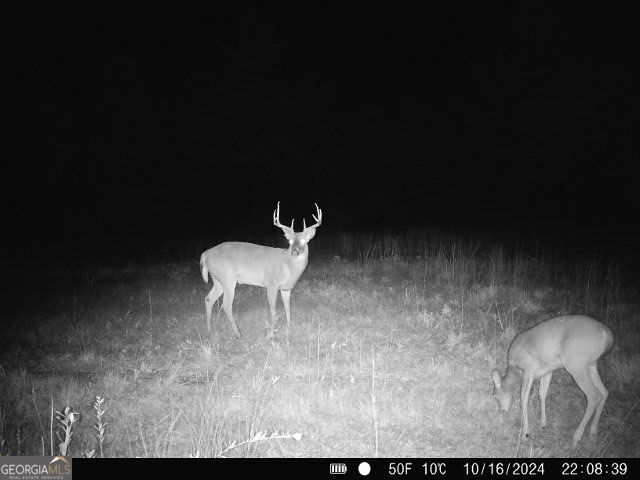 0 Sumner Road Sumner, GA 31789 - Photo 13 of 17