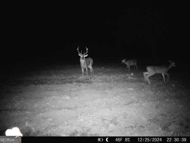 0 Sumner Road Sumner, GA 31789 - Photo 14 of 17