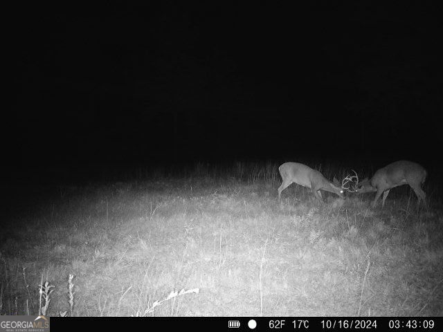 0 Sumner Road Sumner, GA 31789 - Photo 17 of 17