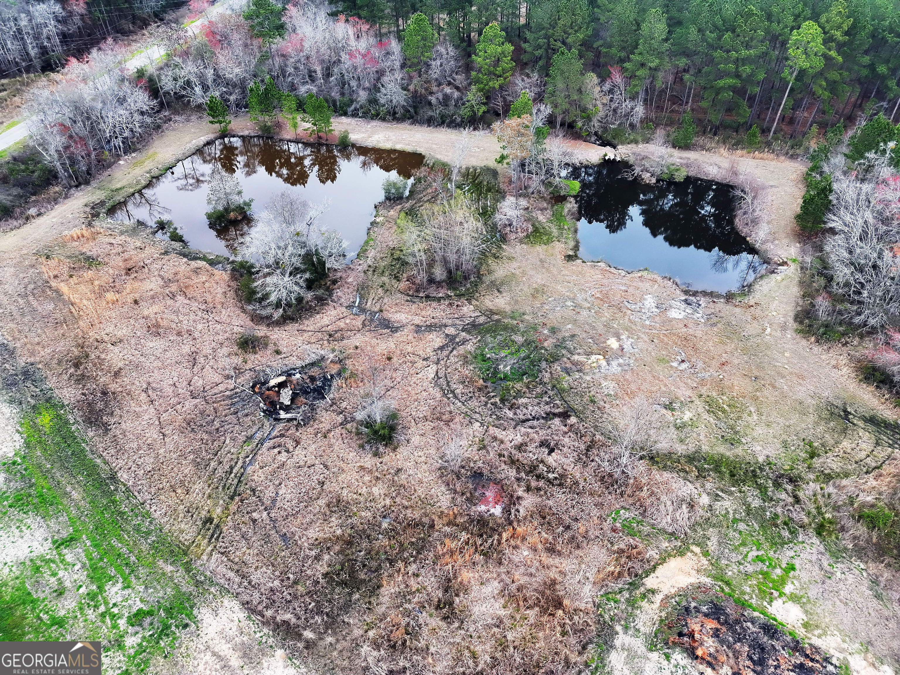 0 Sumner Road Sumner, GA 31789 - Photo 2 of 17