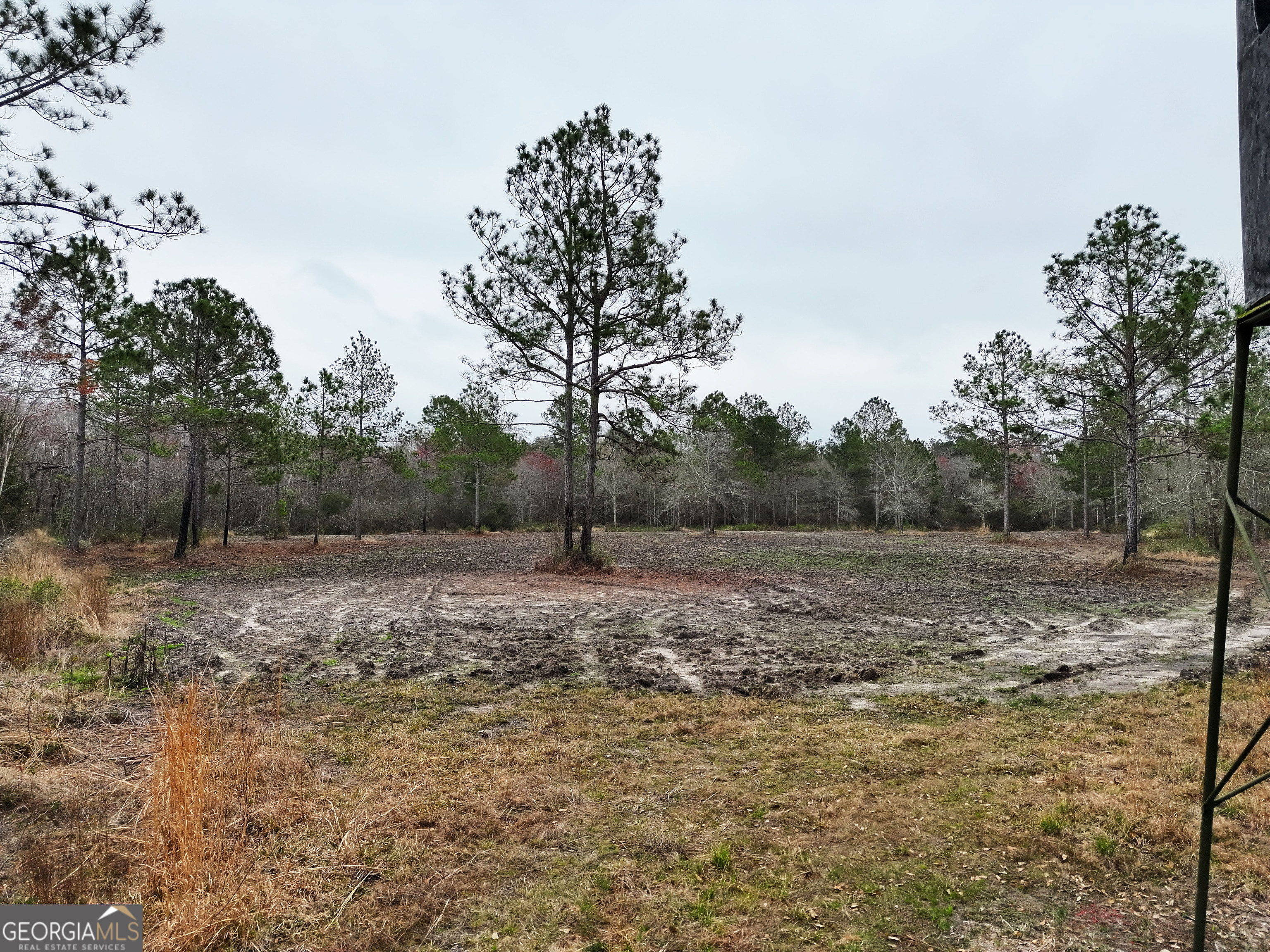 0 Sumner Road Sumner, GA 31789 - Photo 4 of 17