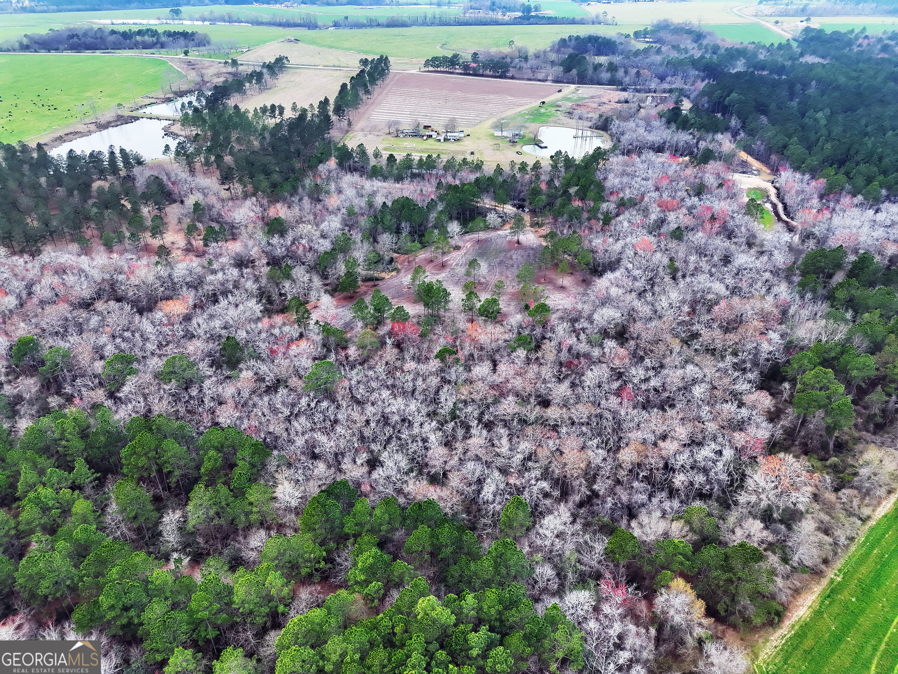 0 Sumner Road Sumner, GA 31789 - Photo 5 of 17