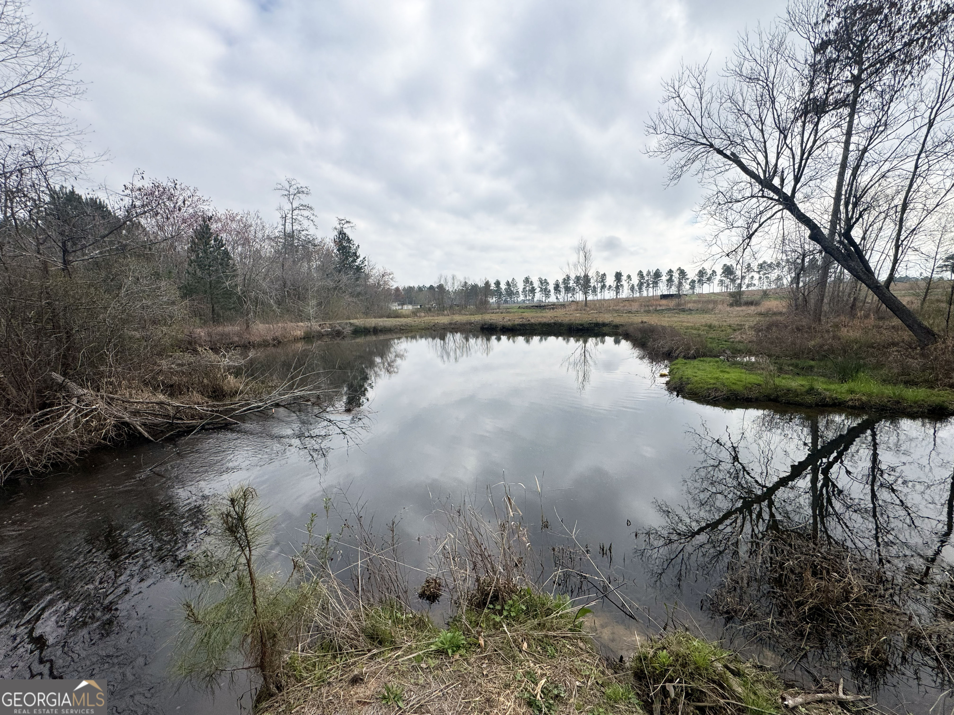 0 Sumner Road Sumner, GA 31789 - Photo 7 of 17
