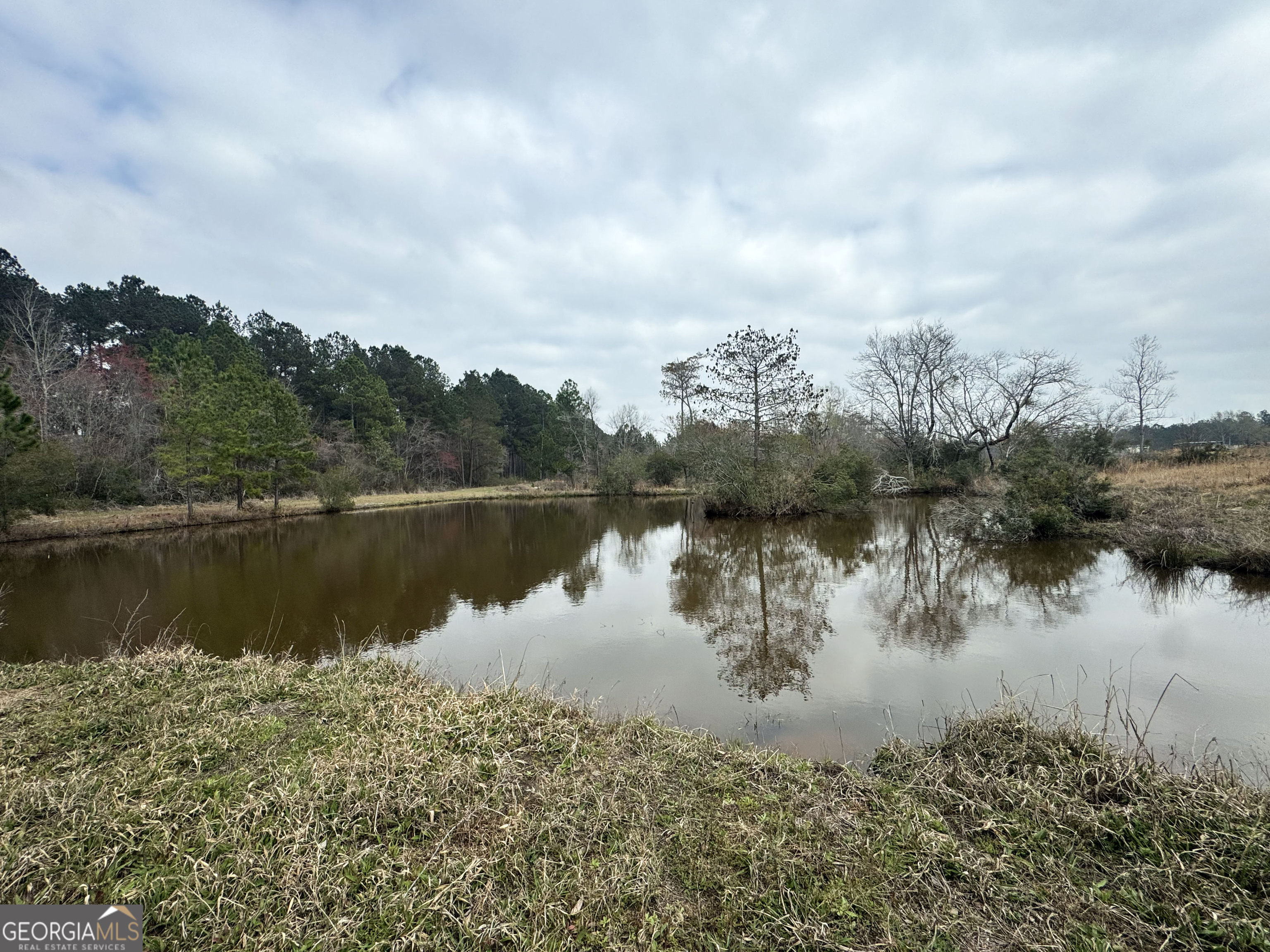0 Sumner Road Sumner, GA 31789 - Photo 8 of 17