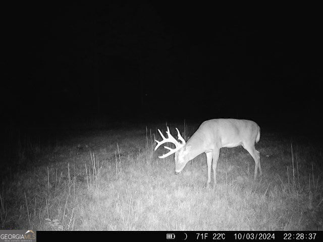 0 Sumner Road Sumner, GA 31789 - Photo 9 of 17