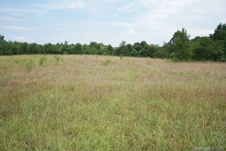 3.92 Ruppe Road Mooresboro, NC 28114 - Photo 3 of 6 Gallery Image 3