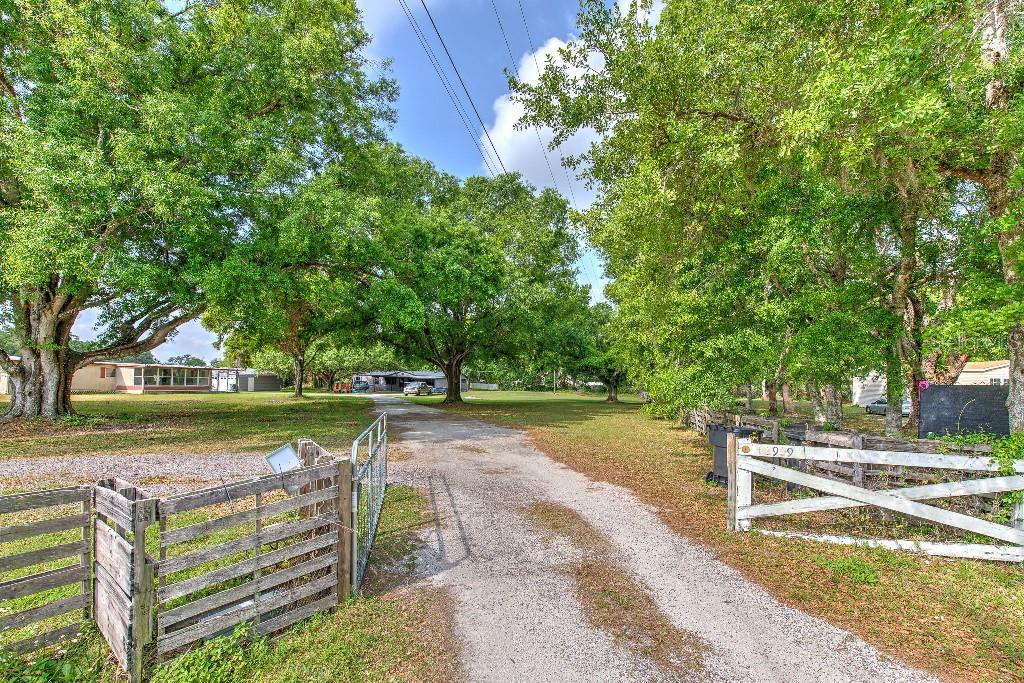 12909 Fairgreen Road Dover, FL 33527 - Photo 1 of 1 a view of a yard with plants and trees