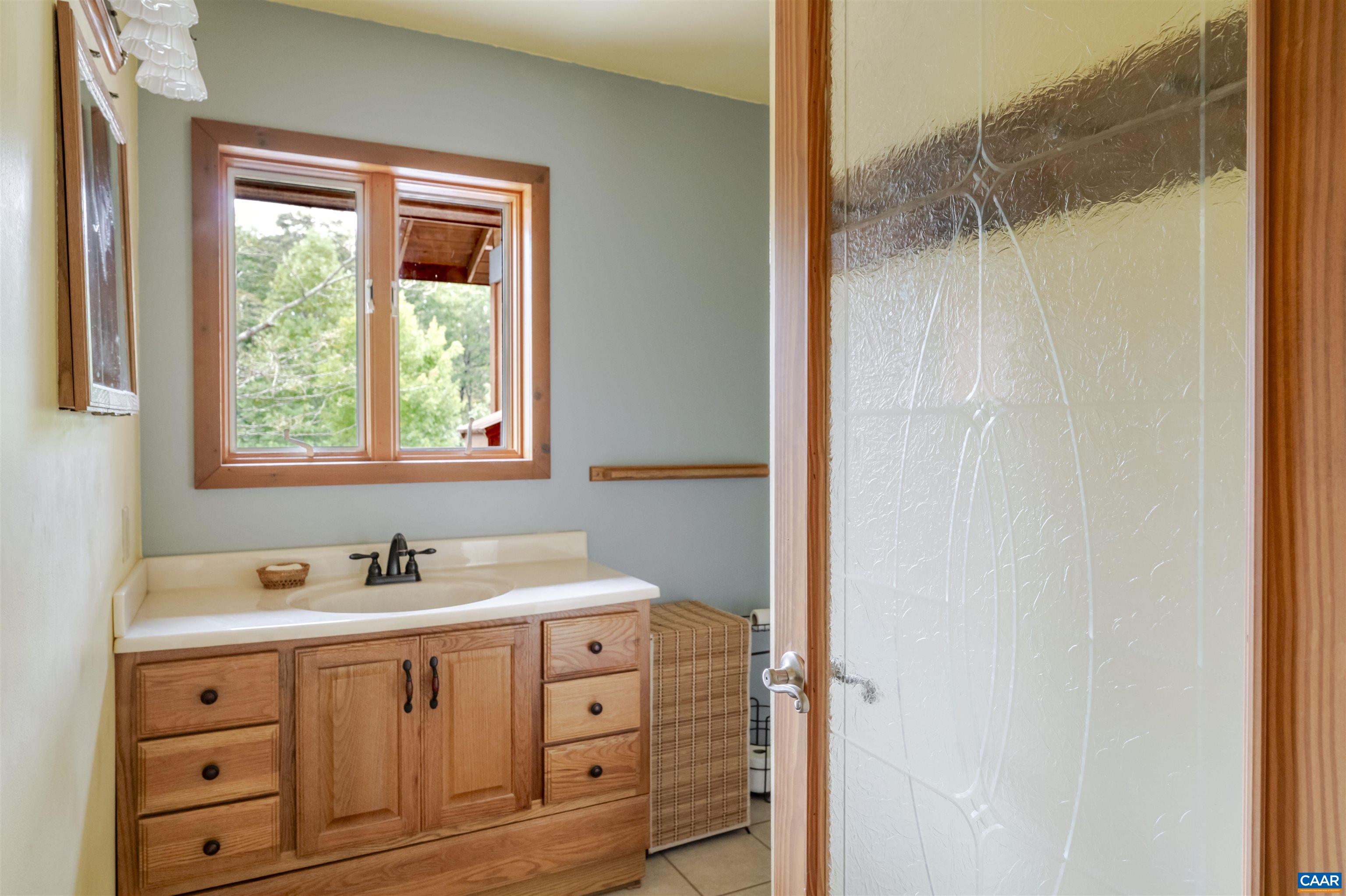 787 Durrett Town Road Afton, VA 22920 - Photo 32 of 49 a bathroom with a sink double vanity and a shower