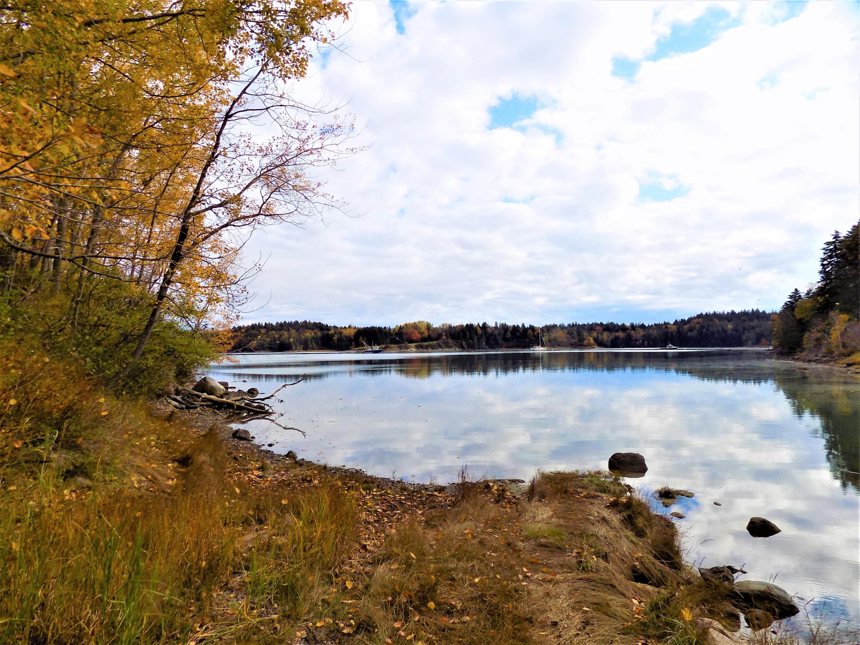 0 West Kennebec Road Machias, ME 04654 - Photo 18 of 20 half tide Fall day
