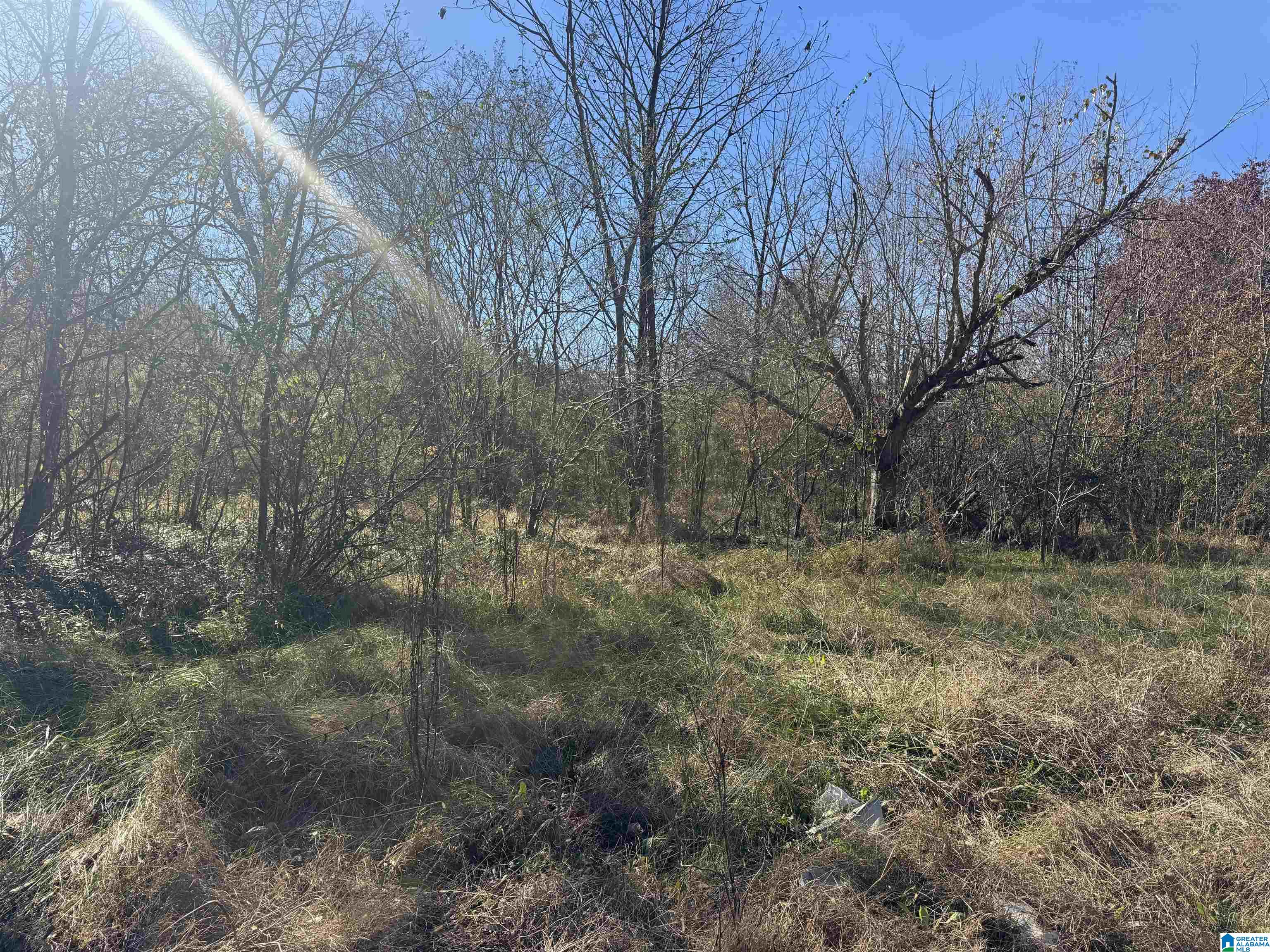 0 Glade Road, Unit 1 Anniston, AL 36206 - Photo 24 of 30