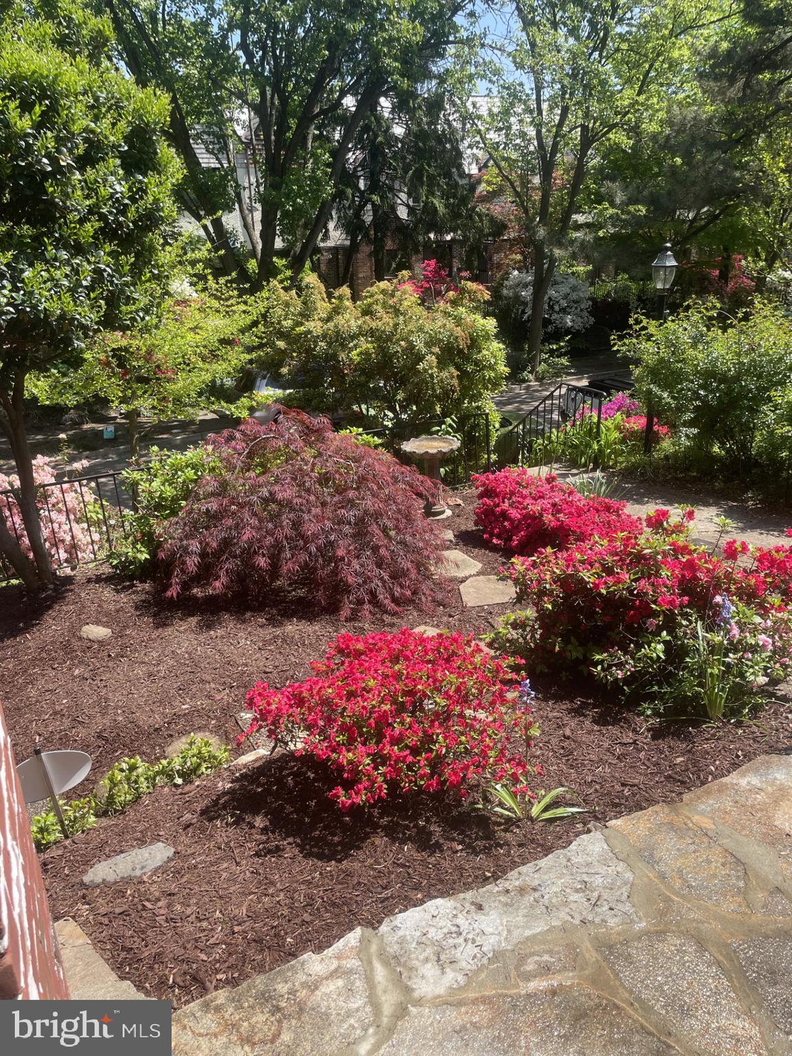 3710 Rexmere Road Baltimore, MD 21218 - Photo 51 of 57 Front Garden in Spring