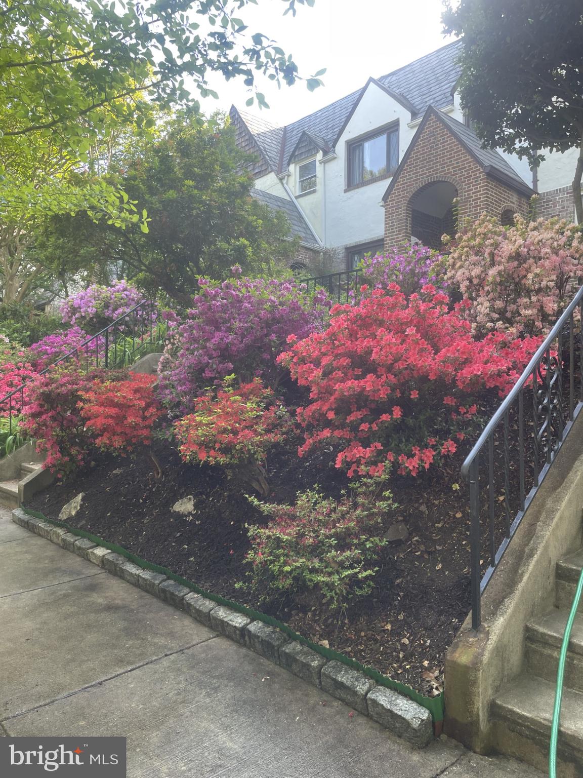 3710 Rexmere Road Baltimore, MD 21218 - Photo 53 of 57 Gorgeous Azaleas in the front yard in Spring