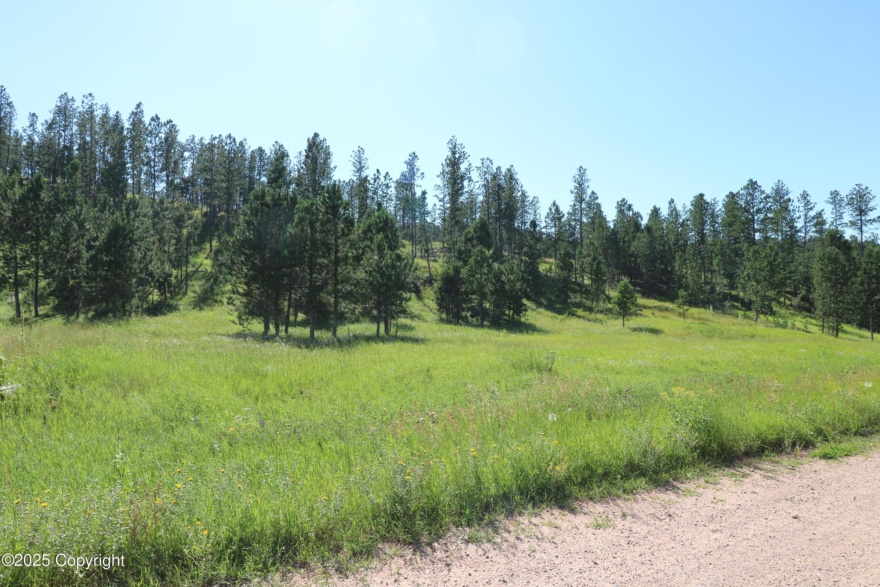 Tbd Tbd Reynolds Road Sundance, WY 82729 - Photo 27 of 53 Gallery Image 27