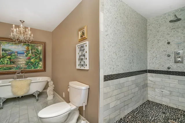 a bathroom with a toilet and a shower