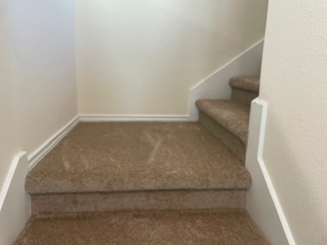 10201 Gertrudis Loop Austin, TX 78747 - Photo 12 of 24 Newly carpeted staircase offers a smooth transition to the next level of comfortable living.
