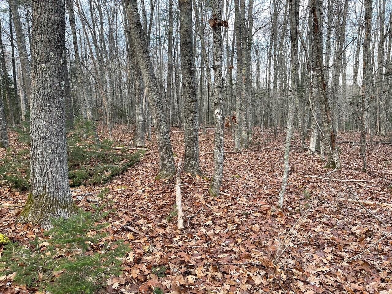 223 Priest Road Northport, ME 04849 - Photo 11 of 14 4