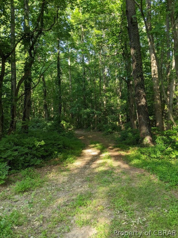 3396 Providence Road Hayes, VA 23072 - Photo 2 of 3