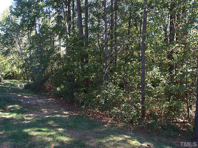 120 Timber Ridge Drive Durham, NC 27713 - Photo 12 of 13 Back Yard