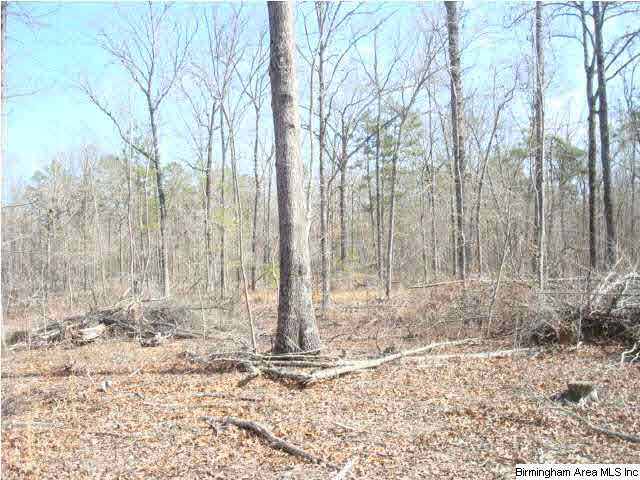 1180 Thompson Road, Unit 39 ACRES Ohatchee, AL 36271 - Photo 4 of 16