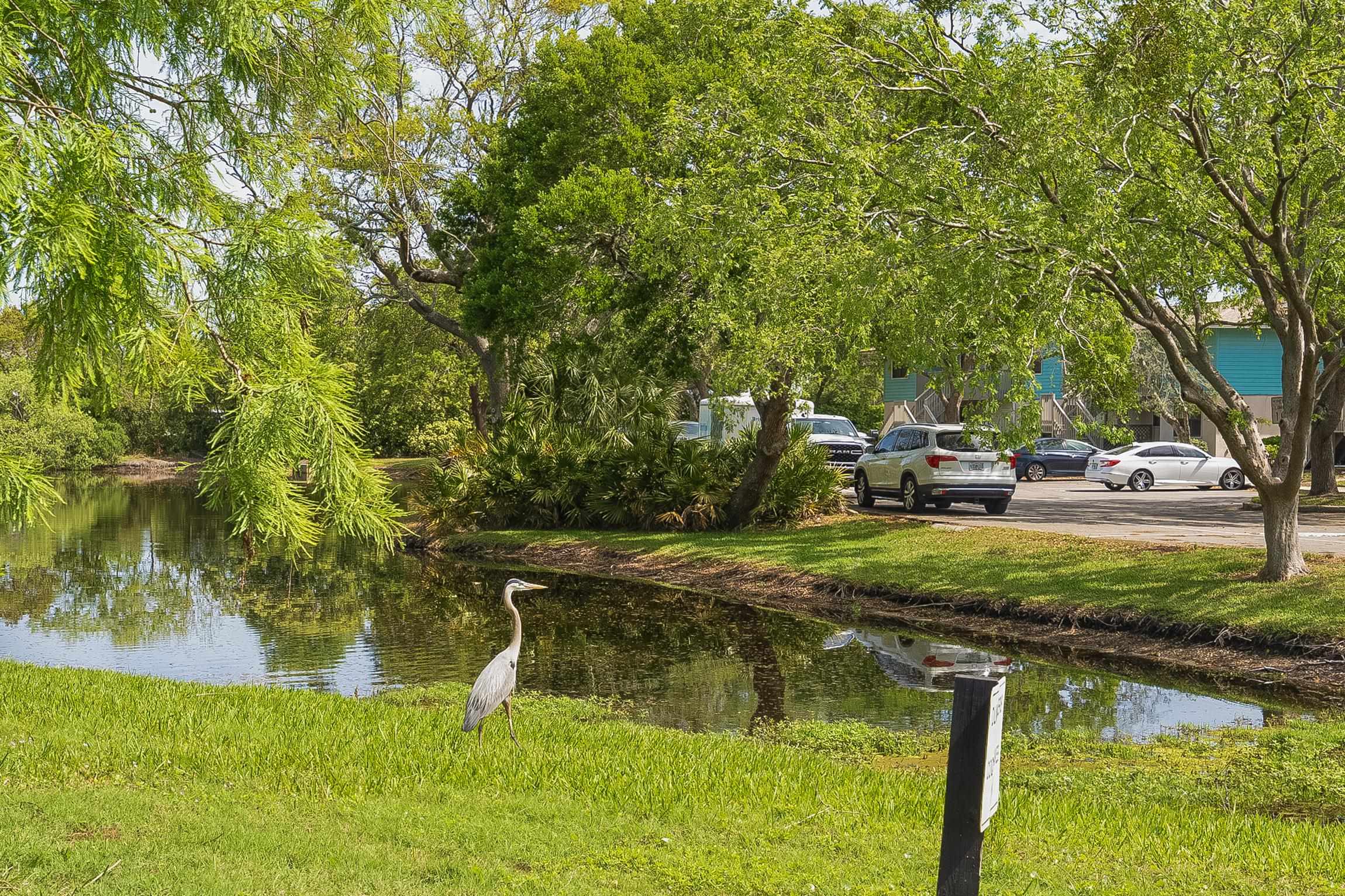 700 West Pope Road, Unit H57 St. Augustine, FL 32080 - Photo 52 of 52 Water view