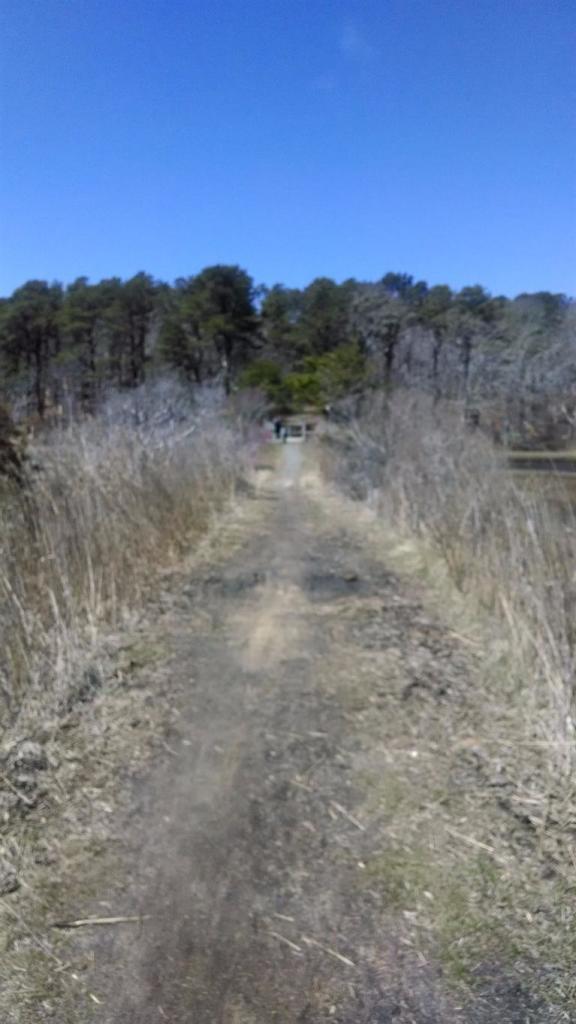 90 N Road West Harwich, MA 02671 - Photo 4 of 5 Additional Photo