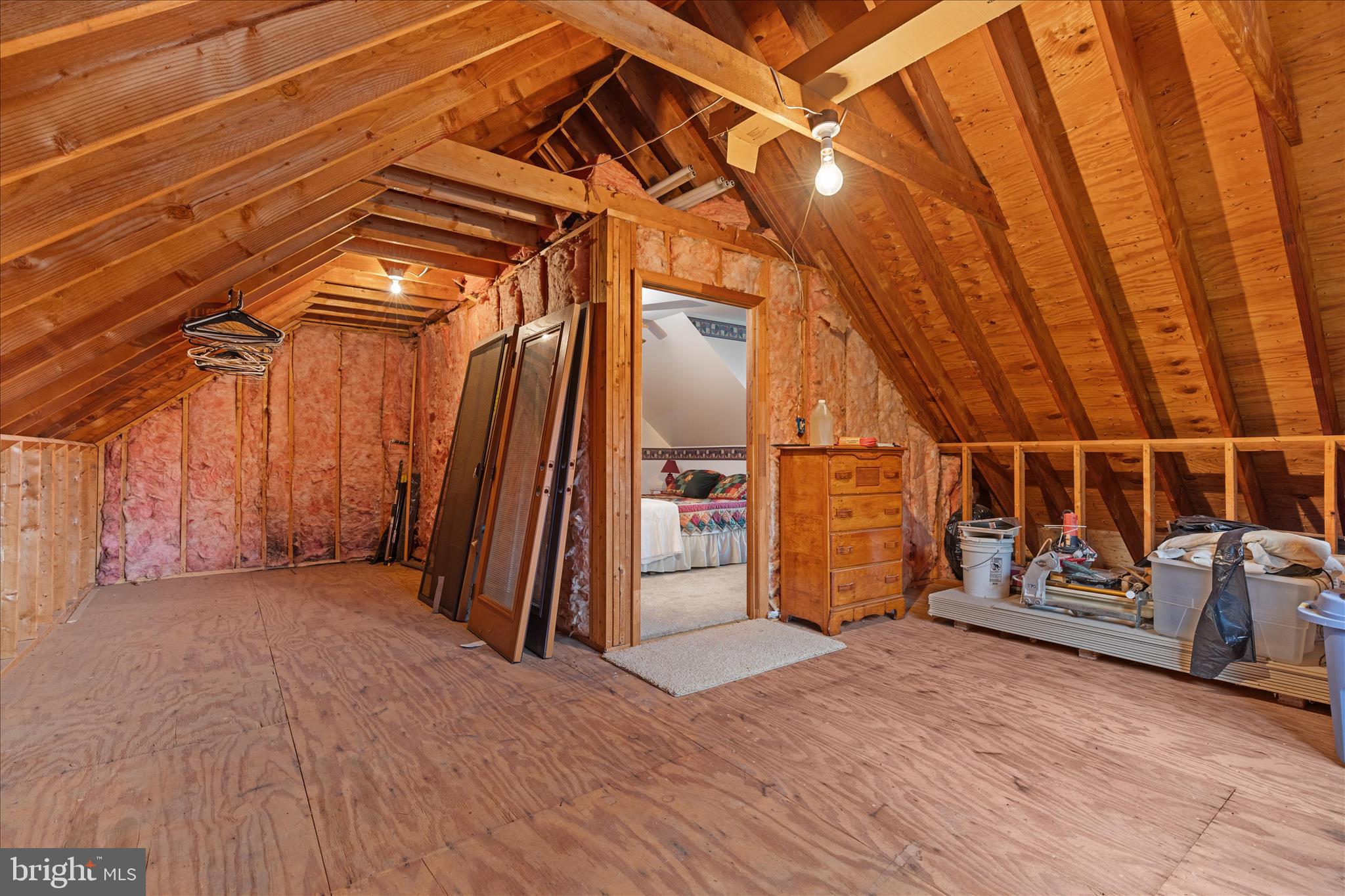 272 Buster Brown Drive Rio, WV 26755 - Photo 71 of 113 Storage above the garage