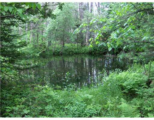 486 Mccard Road Corinth, ME 04427 - Photo 4 of 7 Land/Lot.