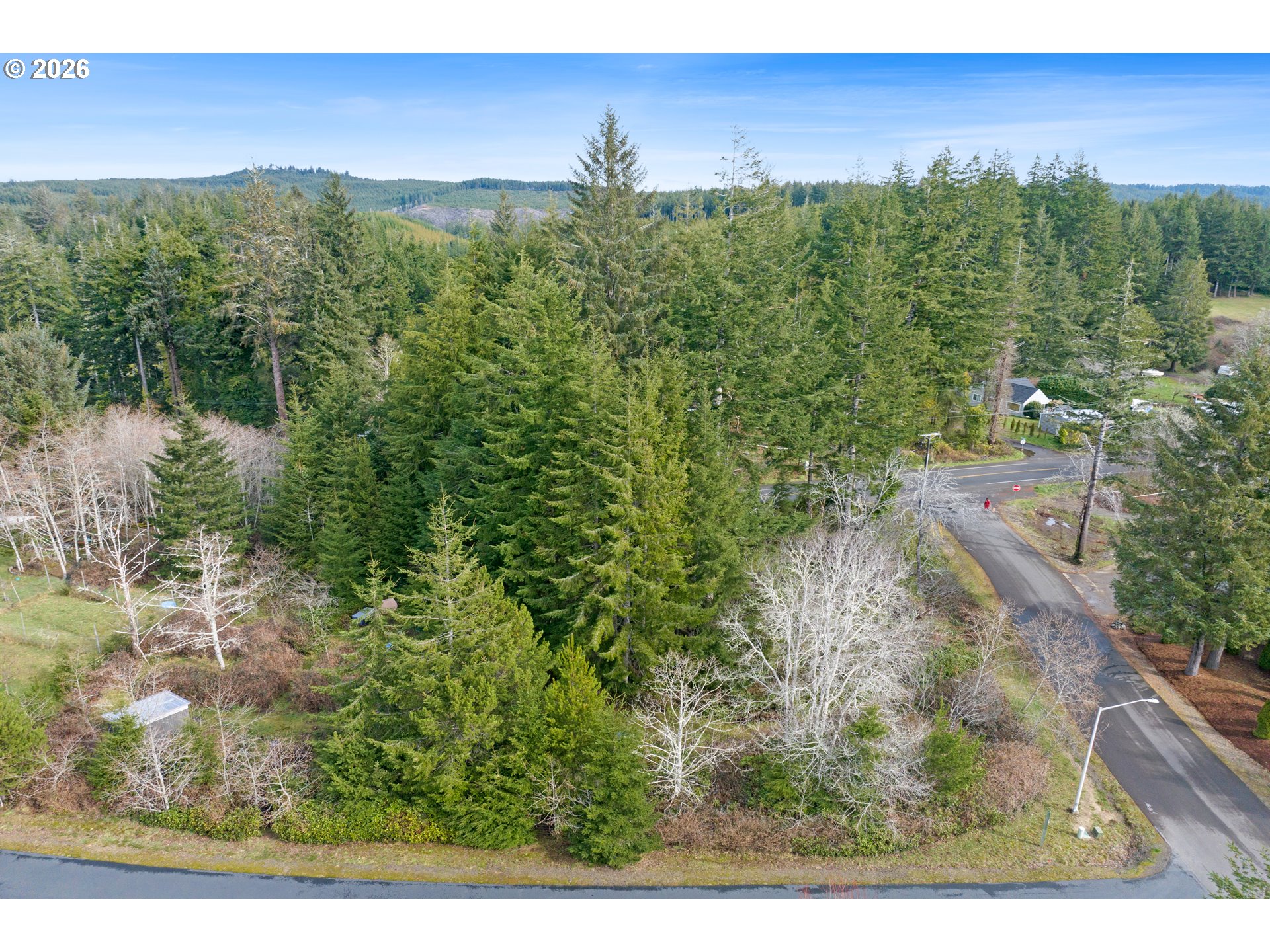 5591 Chittum Loop Florence, OR 97439 - Photo 12 of 23 a view of a yard with wooden fence