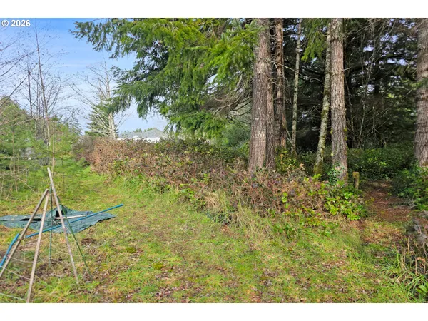 a small yard with lots of green space