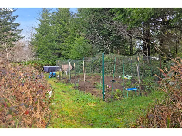 a view of yard with green space