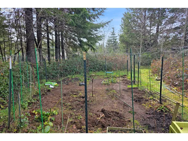 a view of a backyard