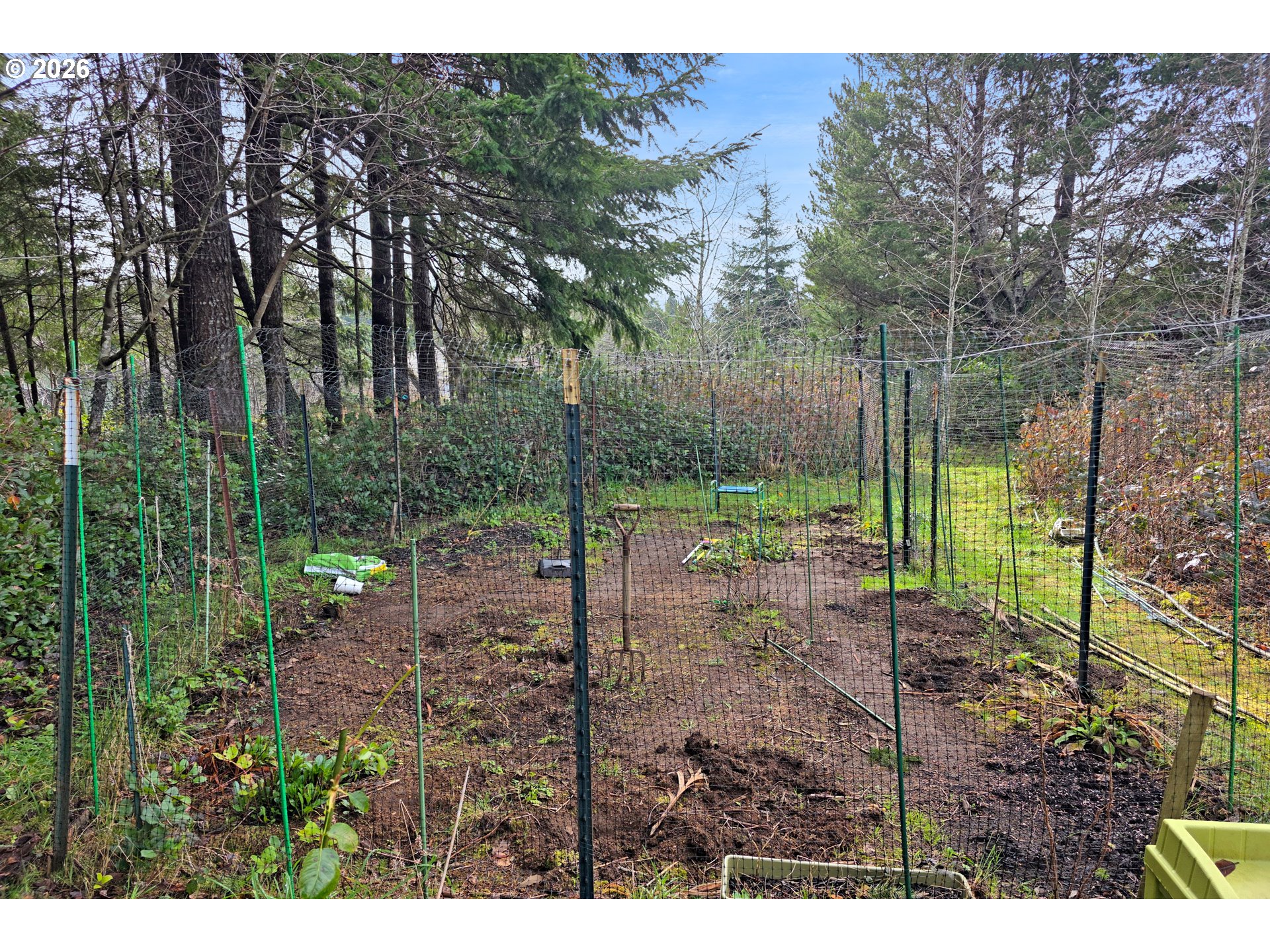 5591 Chittum Loop Florence, OR 97439 - Photo 20 of 23 a view of a backyard